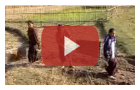 Participatory Approach